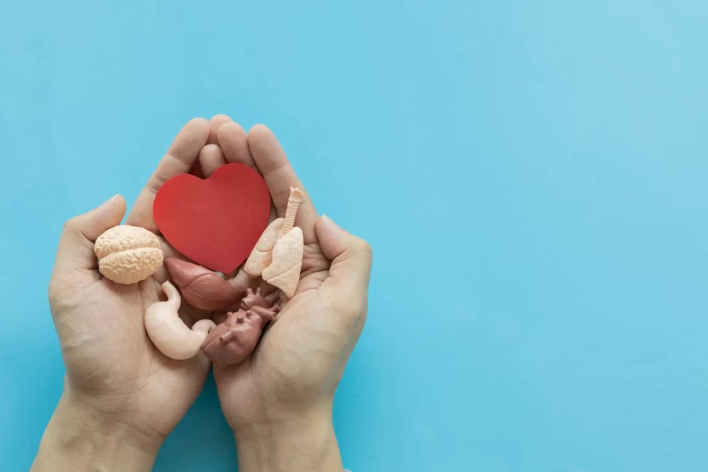 Foto-ilustrativa-Doação-de-orgãos-no-Brasil