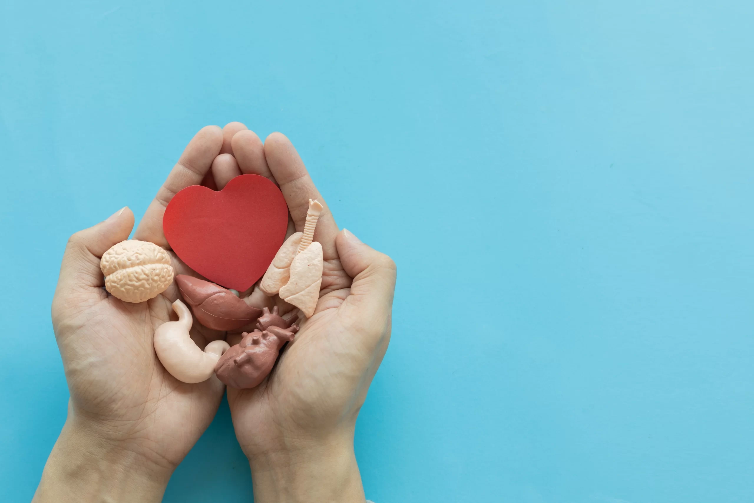 Foto-ilustrativa-Doação-de-orgãos-no-Brasil